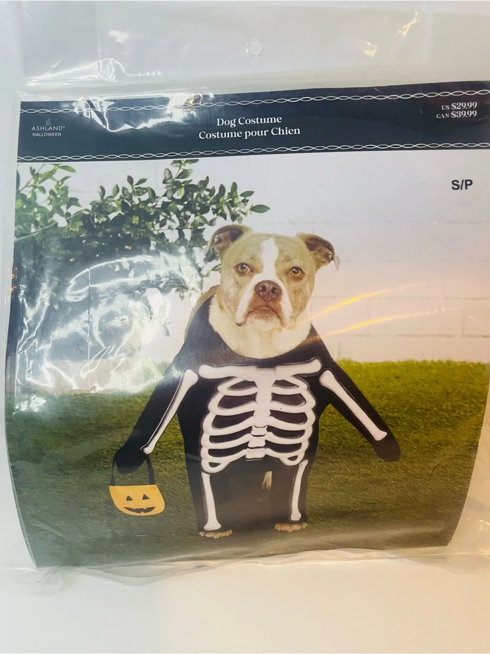 Black Skeleton Halloween Dog Costume with White Bones and Pumpkin,Size Small